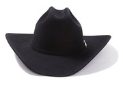 Stetson cowboy hat $345