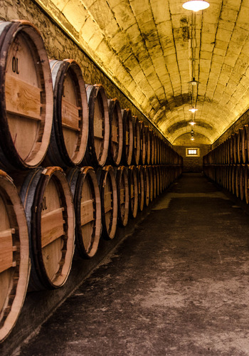 Europe's top wine regions